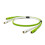 Oyaide Neo d+ Series Class B RCA Cable 2M 1