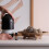 doTERRA doTERRA Copaiba 3