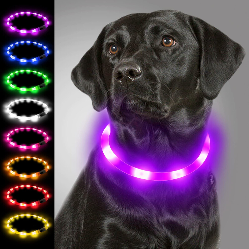 Joytale LED Dog Collar USB Rechargeable Light Up Dog Collars For Night