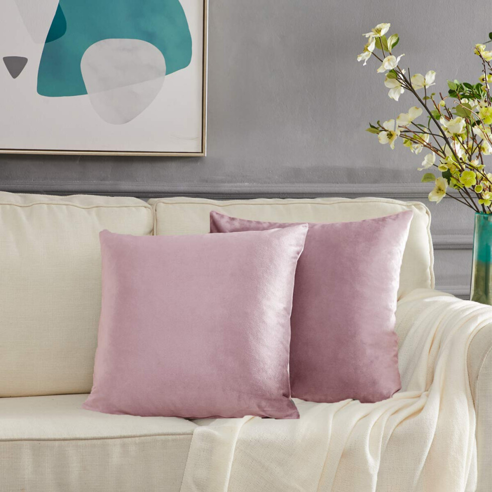 Gigizaza Decor Throw Sofa Pillow Covers Lot De 2 Sweet Lilas Sofa Cushion Pillow Cases Velvet Pillow Cases 24X24Inch-image