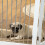 PawHut PawHut Foldable Dog Gate, Freestanding Pet Gate with Two Support Feet 7