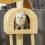 PawHut PawHut Cat Tree Scratching Post Kitten Activity Centre with Hammock, Beige 8