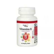 Vitamina B cu drojdie si polen, 60 comp