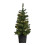 Pre-Lit Artificial Potted Christmas Tree 3ft With 40 Warm White LED's, 1