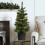 Pre-Lit Artificial Potted Christmas Tree 3ft With 40 Warm White LED's, 9