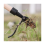 Zinc-Aluminium Alloy Stand Up Weed Puller Tool 4 Claw Removal Head 5