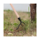 Zinc-Aluminium Alloy Stand Up Weed Puller Tool 4 Claw Removal Head 12