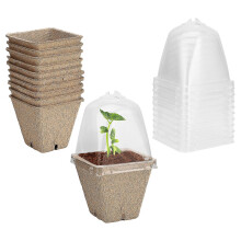 (6cm*square) Seed Starter Pots Seedling Planter With Humidity Dome Transparent Cover Vegetables Pulp+pp Plastic 10 Set Gardening