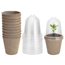 (6cm) Seed Starter Pots Seedling Planter With Humidity Dome Transparent Cover Vegetables Pulp+pp Plastic 10 Set Gardening