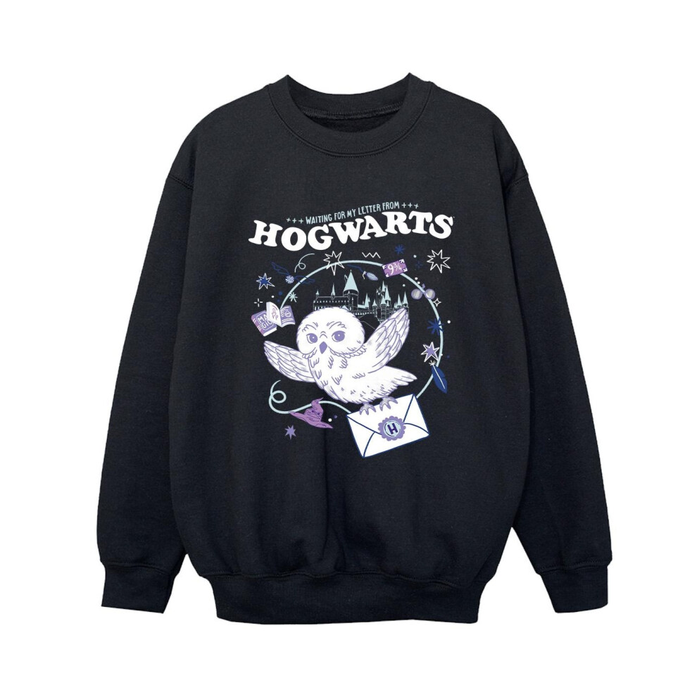 Owl Letter From Hogwarts Sweatshirt