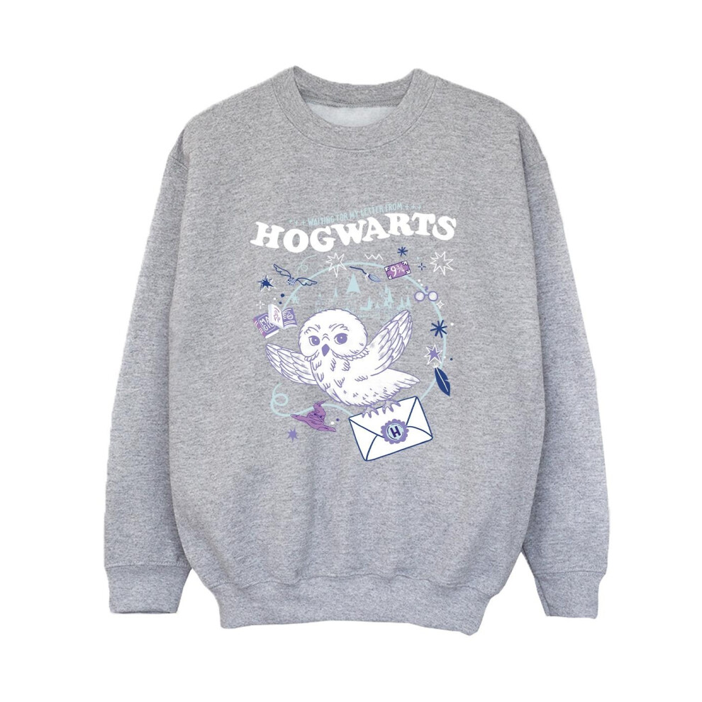 Owl Letter From Hogwarts Sweatshirt