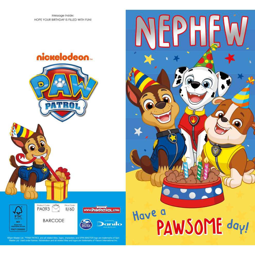 Paw Patrol 'Nephew' Birthday Card