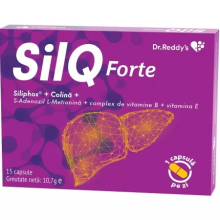 SilQ Forte, 15 caps regeneration liver cells