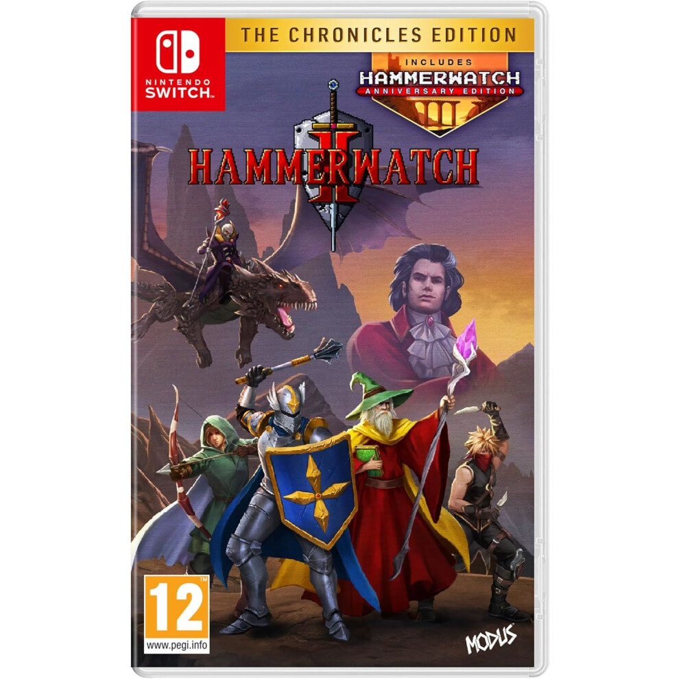 Hammerwatch II: The Chronicles Edition (Nintendo Switch) - Brand New and Sealed - Image 4