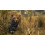 Cabela's Dangerous Hunts 2011 PS3 Game 9