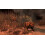 Cabela's Dangerous Hunts 2011 PS3 Game 3