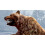 Cabela's Dangerous Hunts 2011 PS3 Game 5