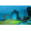 Dolphin Spirit Ocean Mission PS4 Game 7