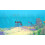 Dolphin Spirit Ocean Mission PS4 Game 5