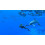 Nintendo Endless Ocean Luminous Switch Game 5