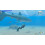 Nintendo Endless Ocean Luminous Switch Game 6