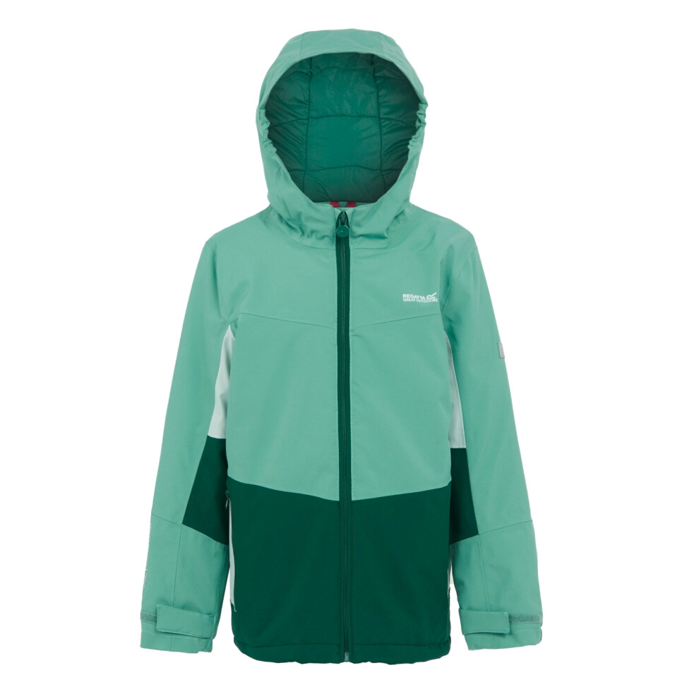 (9-10 Years, Dusty Green/Rainforest) Regatta Childrens/Kids Highton V Padded Jacket