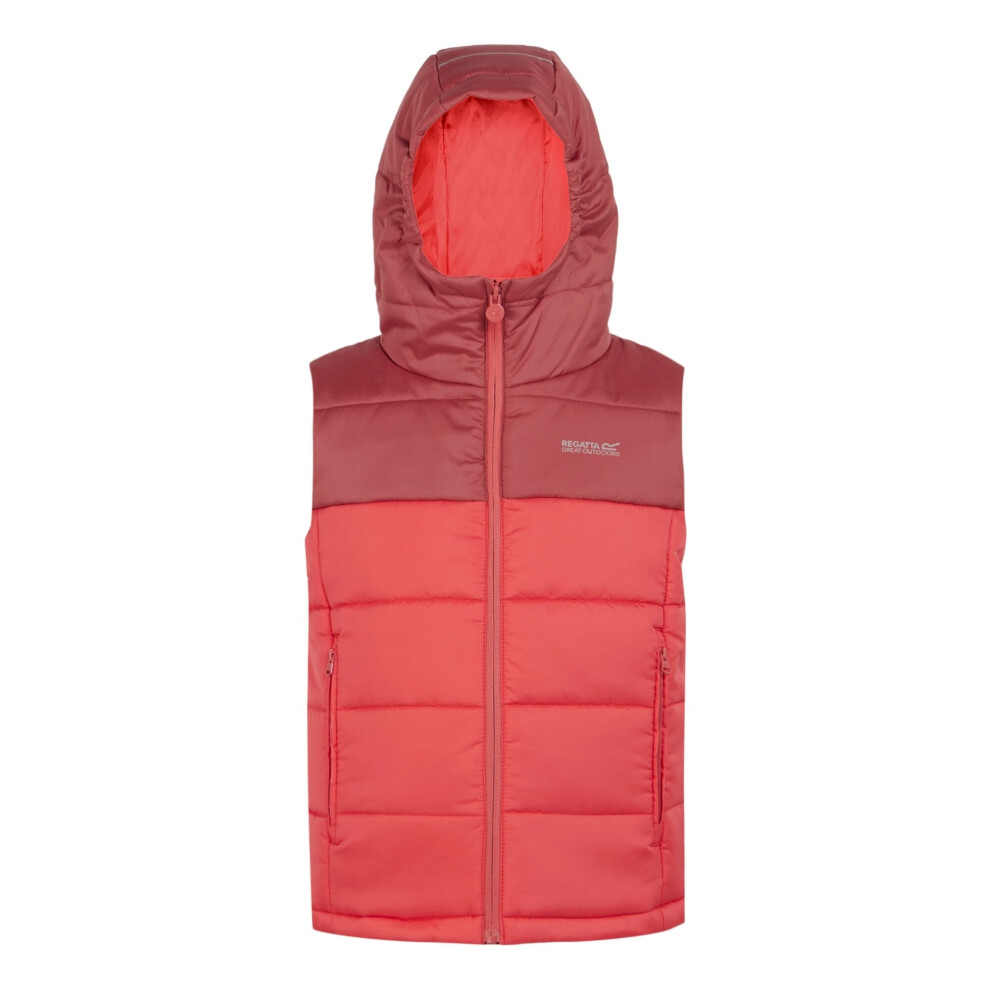 (3-4 Years, Mineral Red/Red Sky) Regatta Childrens/Kids Lofthouse II Gilet