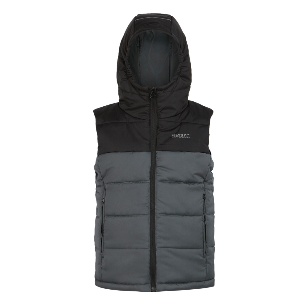 (15-16 Years, Black/Seal Grey) Regatta Childrens/Kids Lofthouse II Gilet