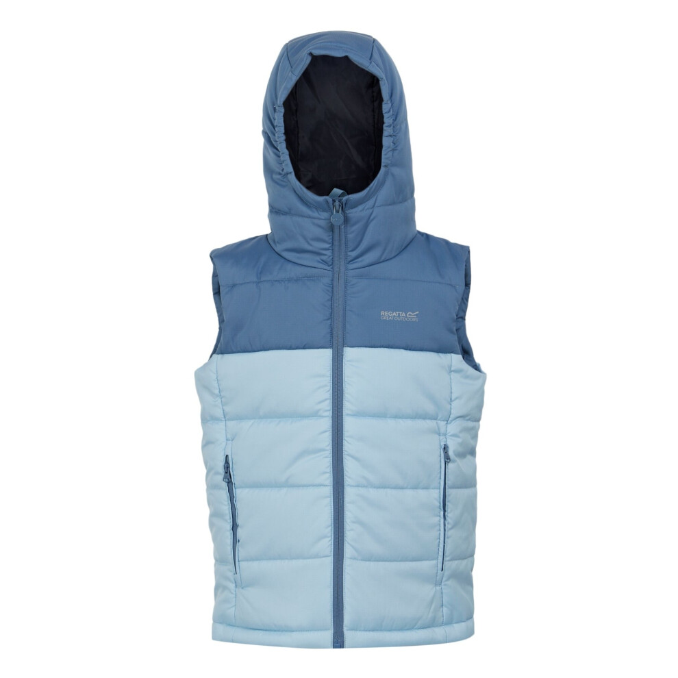 (13 Years, Coronet Blue/Clear Sky) Regatta Childrens/Kids Lofthouse II Gilet