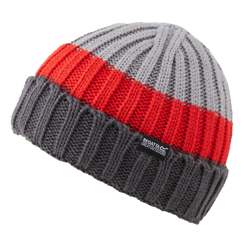 (One Size, Mineral Grey/High Risk Red) Regatta Mens Davion V Beanie