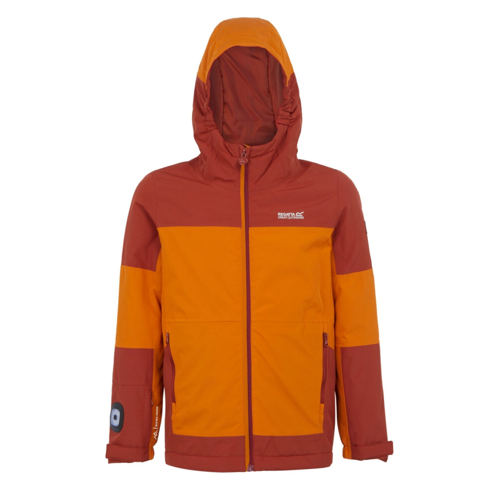 (7-8 Years, Fox/Red Ochre) Regatta Childrens/Kids Beamz IV Waterproof Jacket