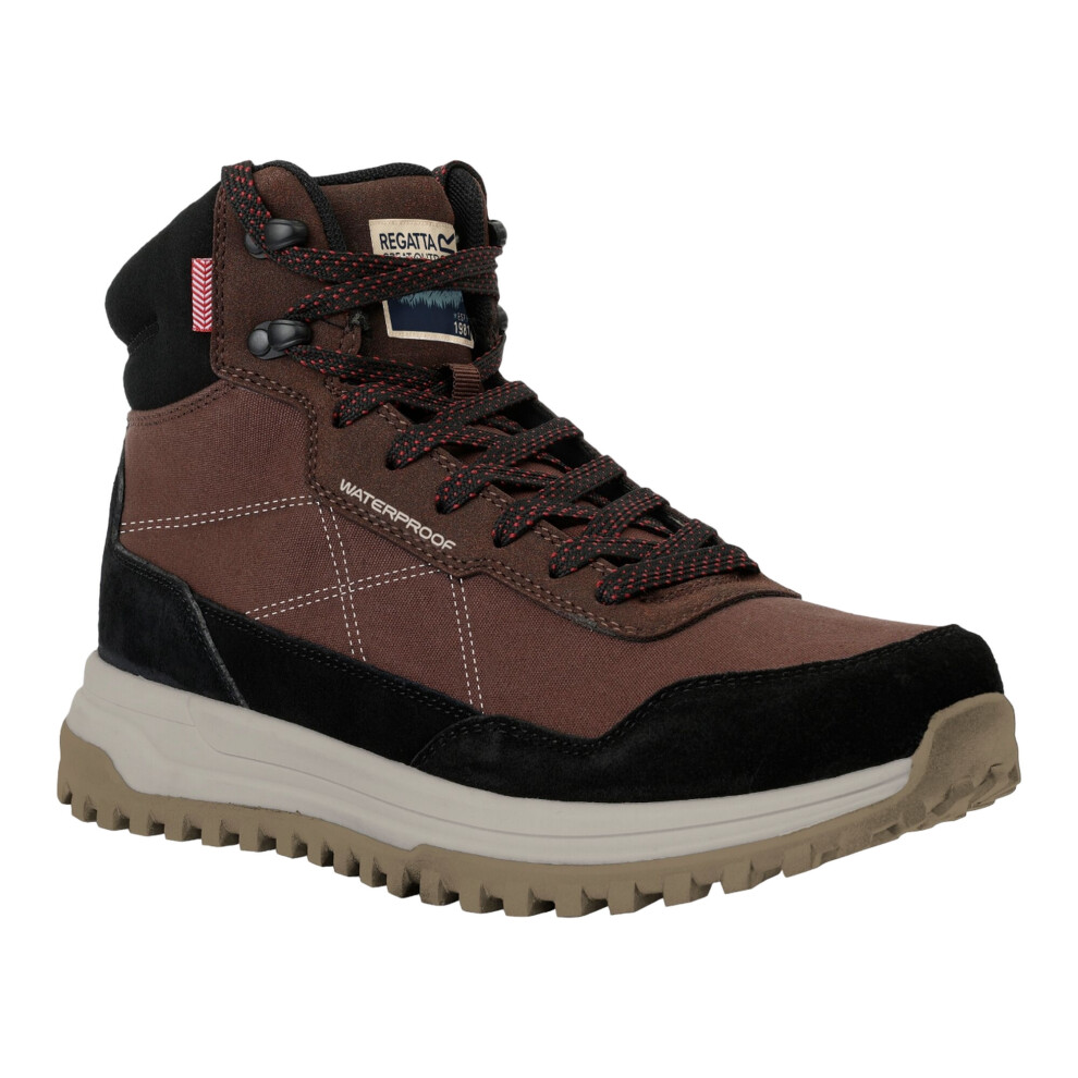 (12 UK, Chestnut Brown) Regatta Mens Mayfield Suede Walking Boots