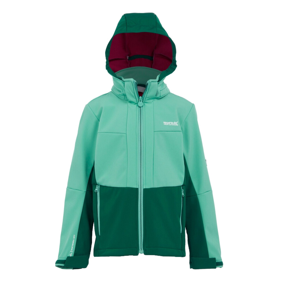 (9-10 Years, Dusty Green/Rainforest) Regatta Childrens/Kids Haydenbury II Soft Shell Jacket