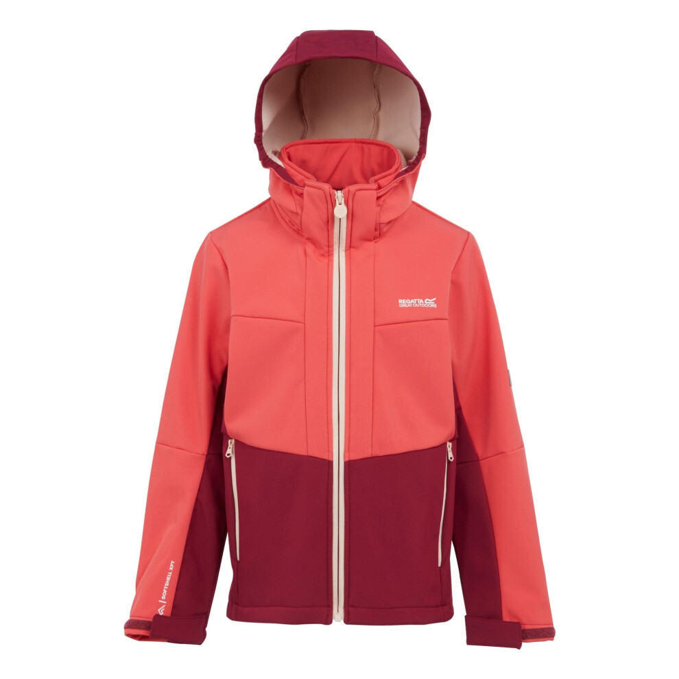 (15-16 Years, Red Sky/Rumba Red) Regatta Childrens/Kids Haydenbury II Soft Shell Jacket