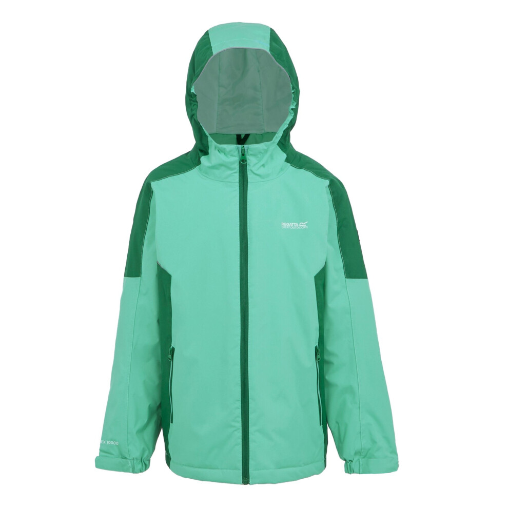 (14 Years, Dusty Green/Rainforest) Regatta Childrens/Kids Hurdle V Waterproof Jacket