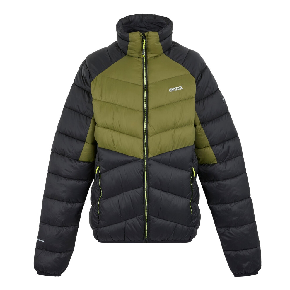 (S, Nephrite Green/Black) Regatta Mens Dalent Padded Jacket