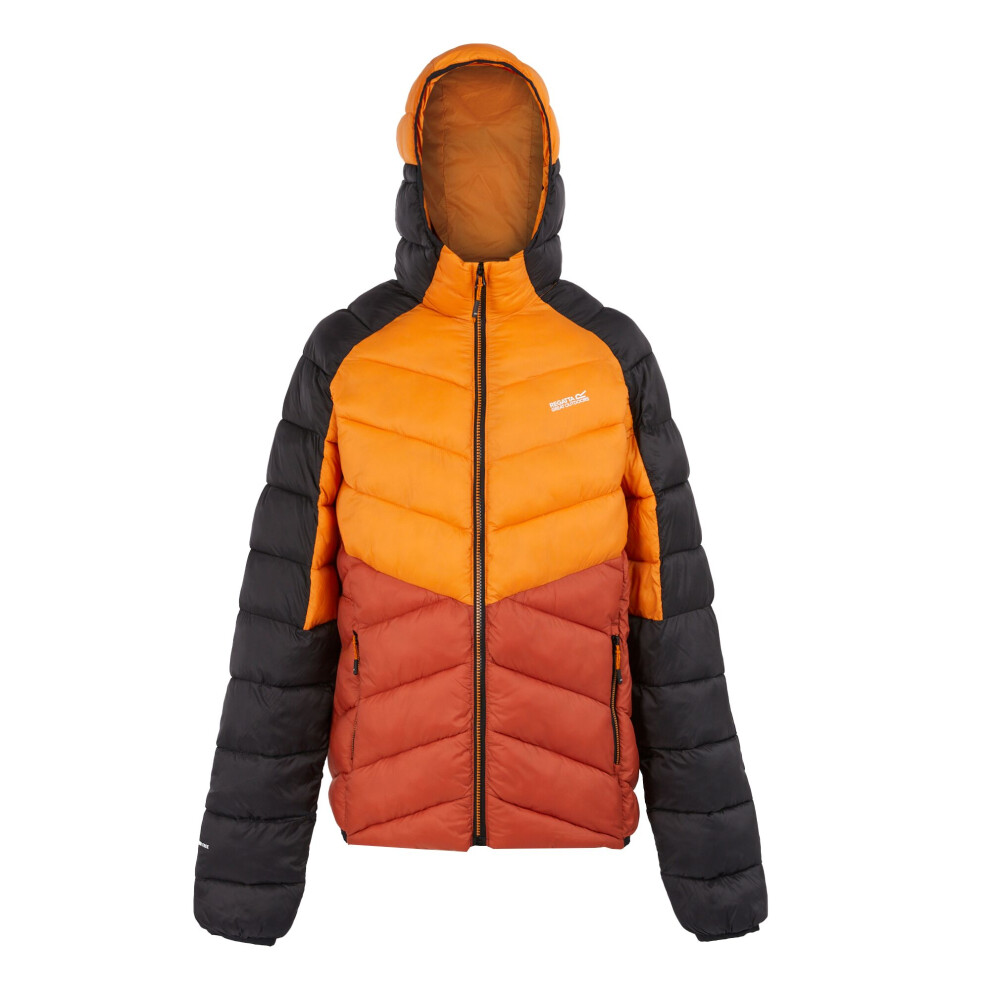 (L, Fox/Red Ochre) Regatta Mens Dalent Hooded Insulated Jacket