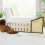 Gift Republic Planters - Mini Indoor Allotment 3