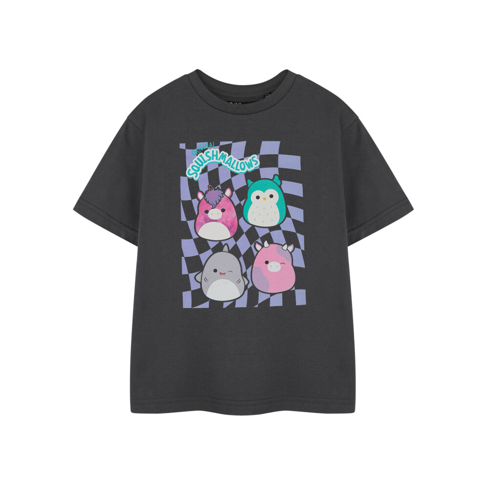 (11-12 Years) Squishmallows Short Sleeved T-Shirt (Girls Grey)