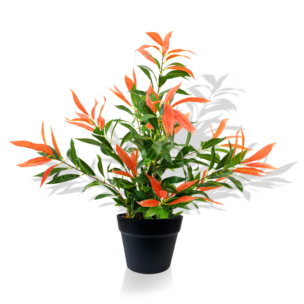 Artificial Ficus Tree Plant Photinia Red Robin Green 80cm Realistic Faux Plants