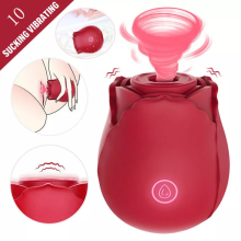 Sucking Clitoral Vibrator 10 Modes - G-Spot Massager USB Rechargeable