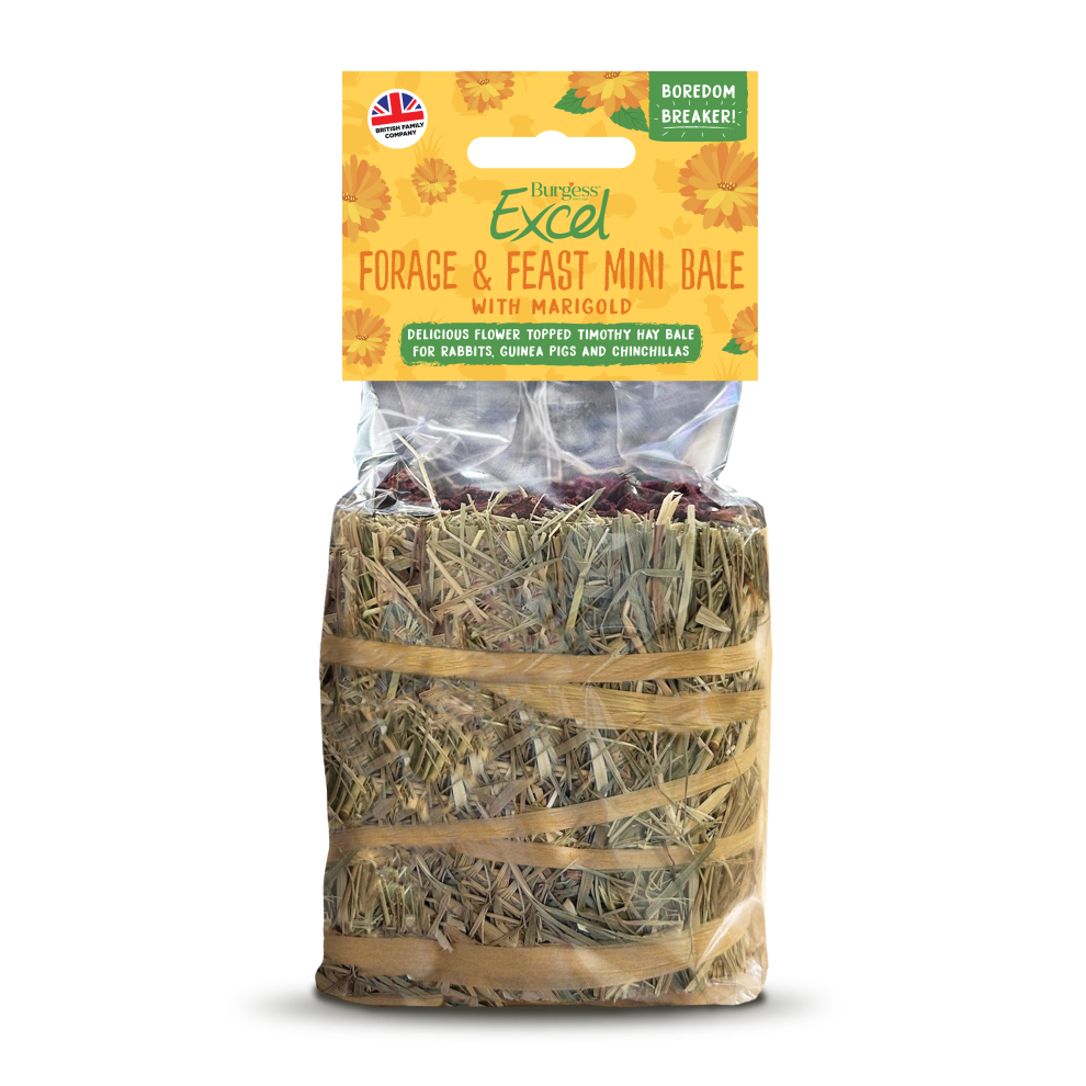 Burgess Excel Forage & Feast Mini Hay Bale Flower with Marigold 100g