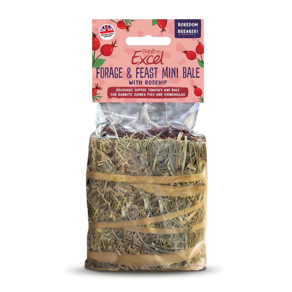 Burgess Excel Forage & Feast Mini Hay Bale Flower Rosehip 100g