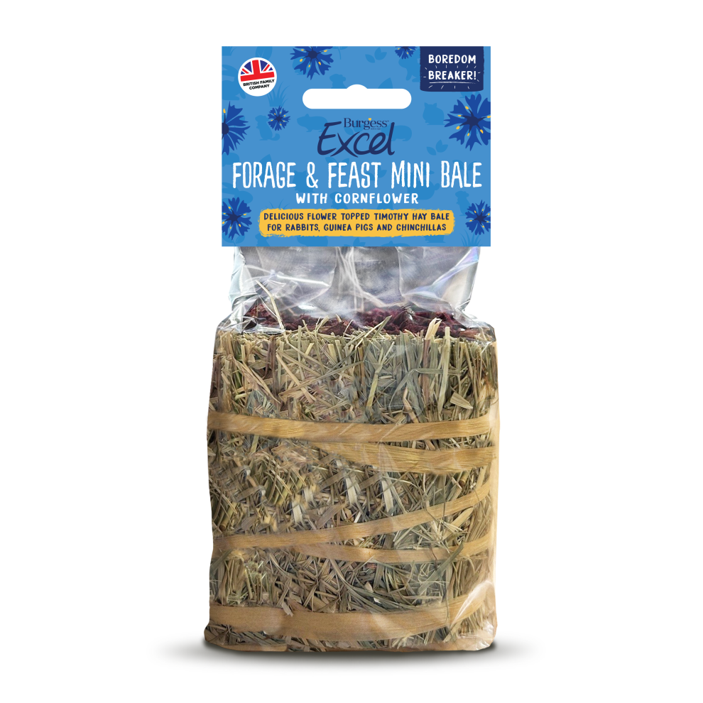 Burgess Excel Forage & Feast Mini Hay Bale Flower Cornflower 100g