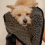 AllPetSolutions Noodle Drying Towel Grey 3