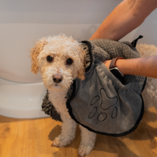AllPetSolutions Noodle Drying Towel Grey