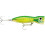 XRap Magnum Xplode 170 Dorado 1