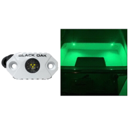 Black Oak Rock Accent Light  Green  White Housing