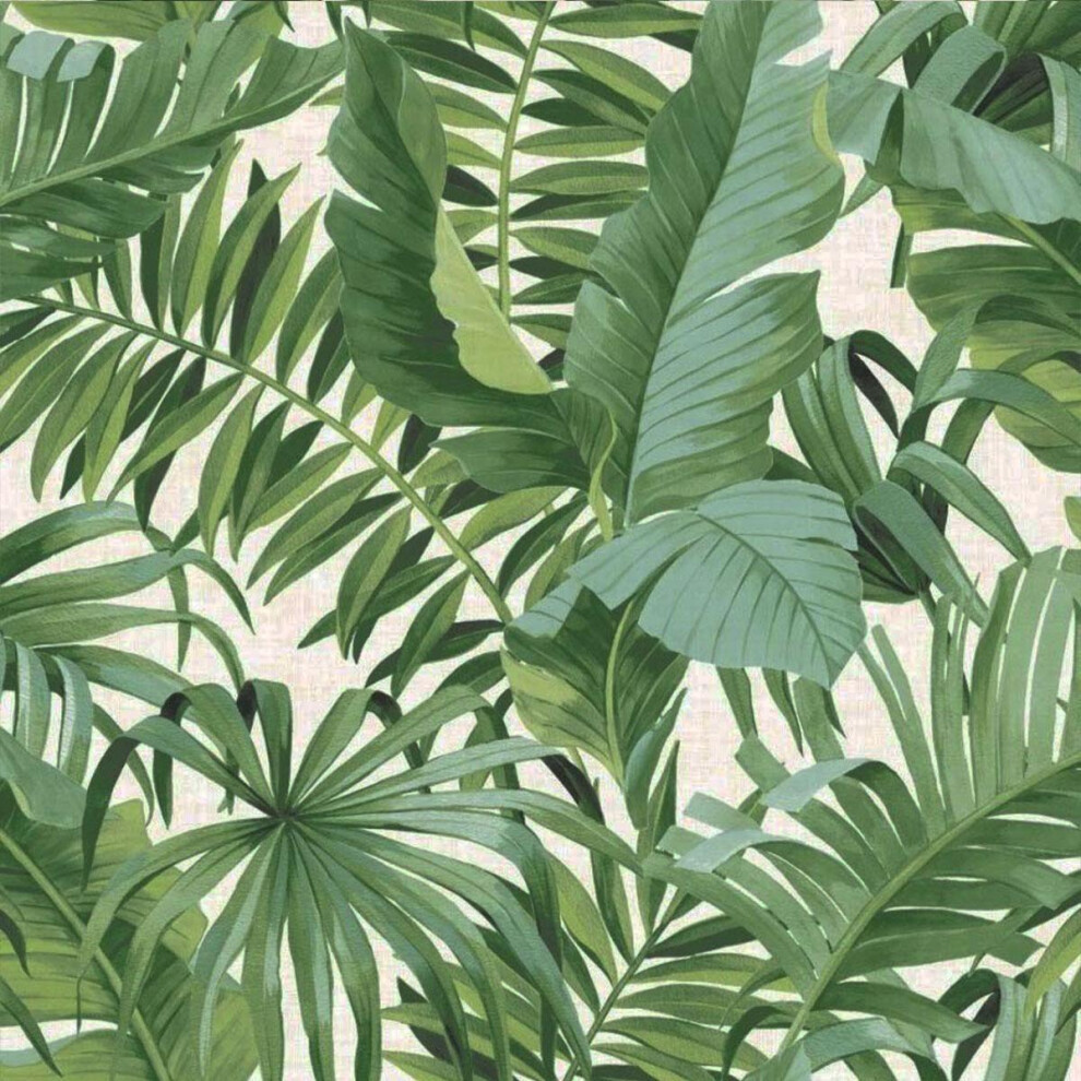 (32.1ft x 21in, Green/Cream) Fine Decor A-Street Palm Leaf Wallpaper