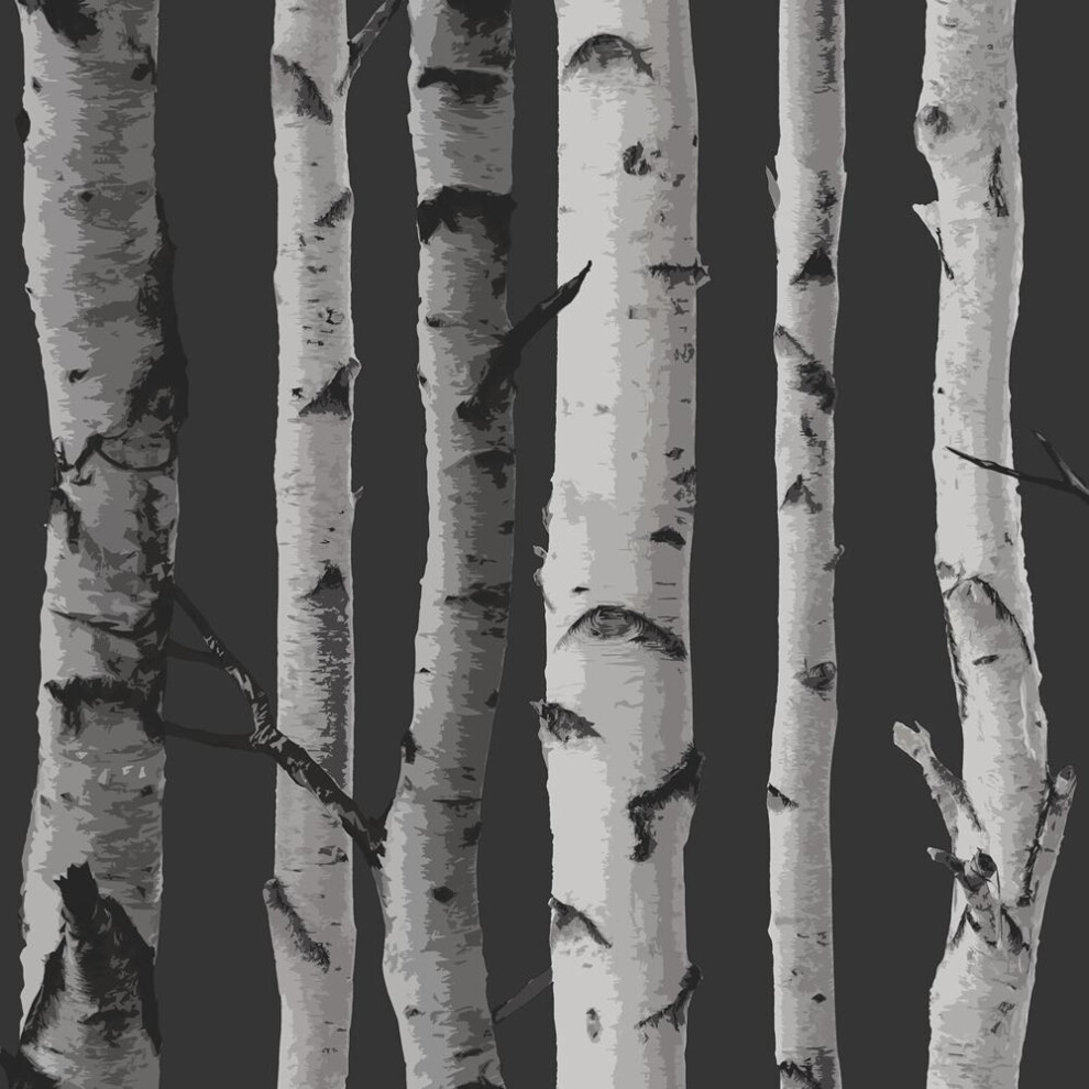 (One Size, Black/Silver) Fine Decor Birch Trees Wallpaper